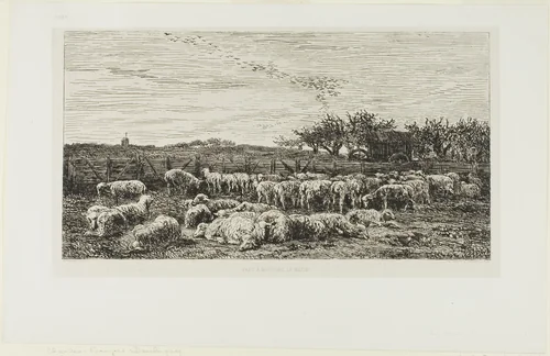 Meadow with sheep by Charles-François Daubigny, print, 1860