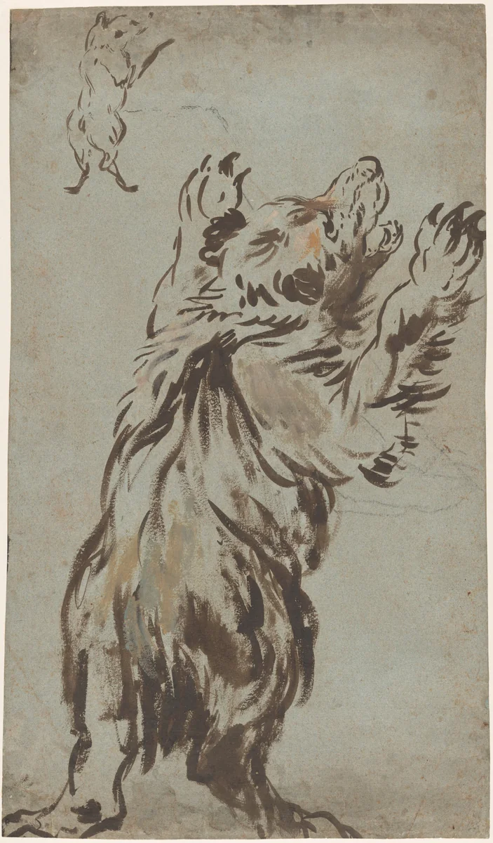 Studies of a Bear by Leonard Bramer, drawing, 1620