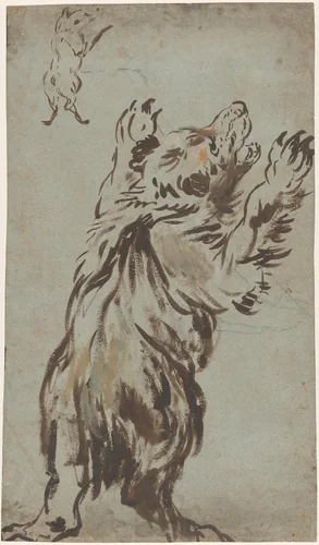 Studies of a Bear by Leonard Bramer, drawing, 1620