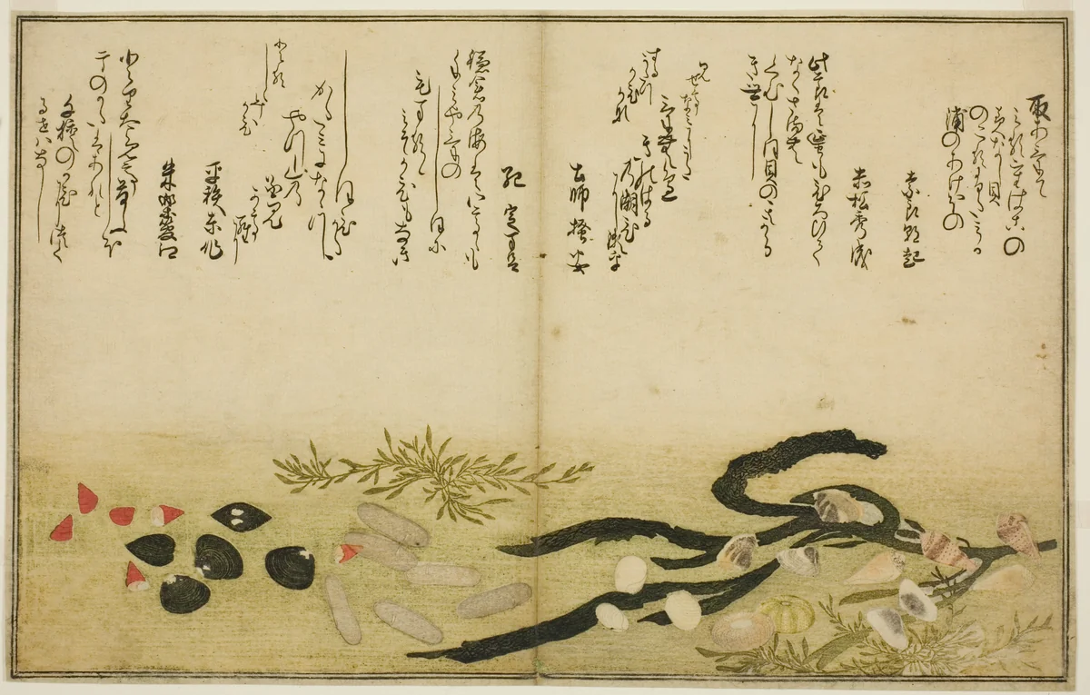 Minashi-gai, shio-gai, katatsu-gai, miso-gai, chijimi-gai, and chigusa-gai, from the illustrated book "Gifts from the Ebb Tide (Shiohi no tsuto)" by Kitagawa Utamaro (喜多川歌麿), print, 1789