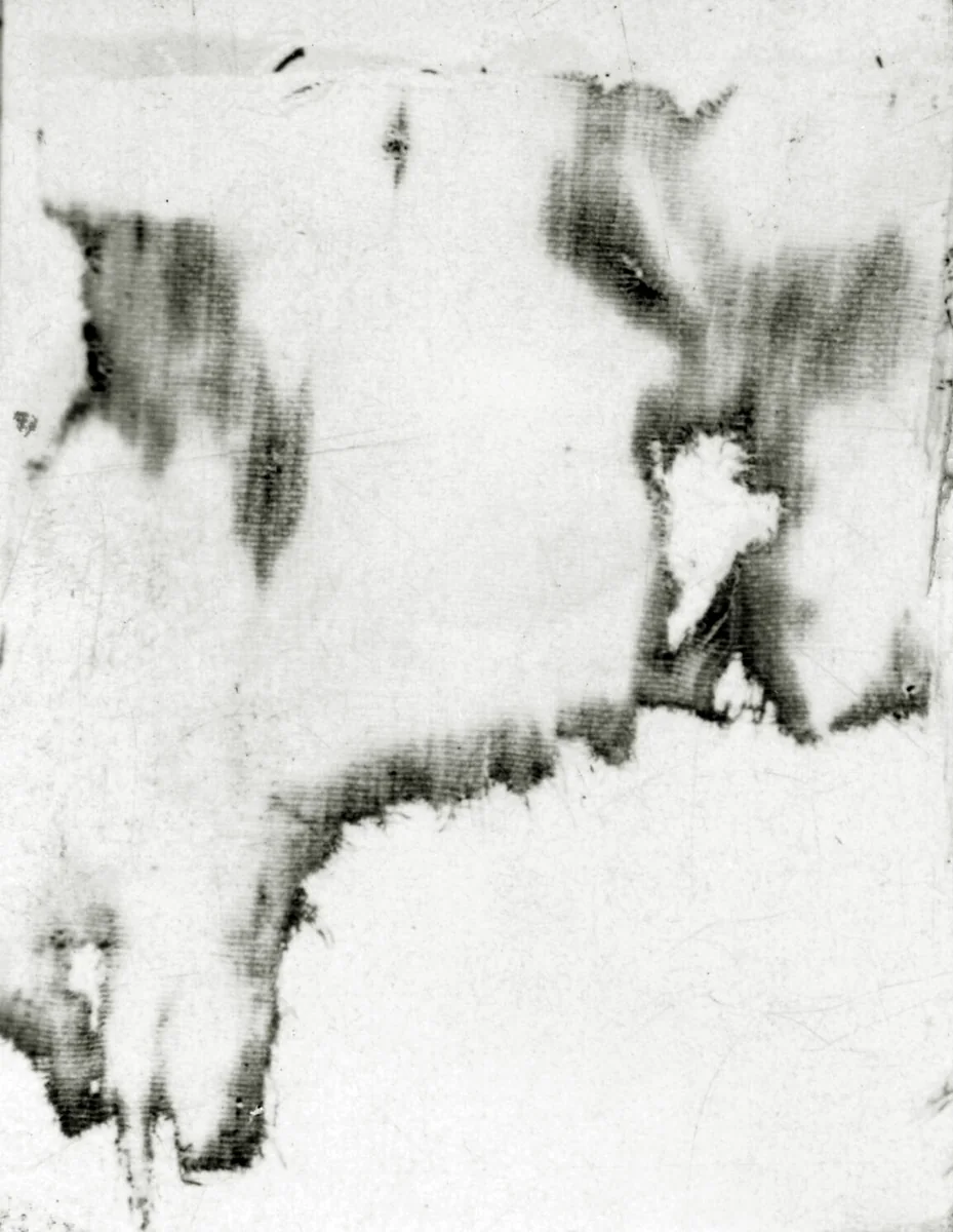 Fragment by Peru, textile, 1-1532