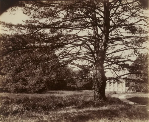 Trianon by Eugène Atget, photograph, 1922