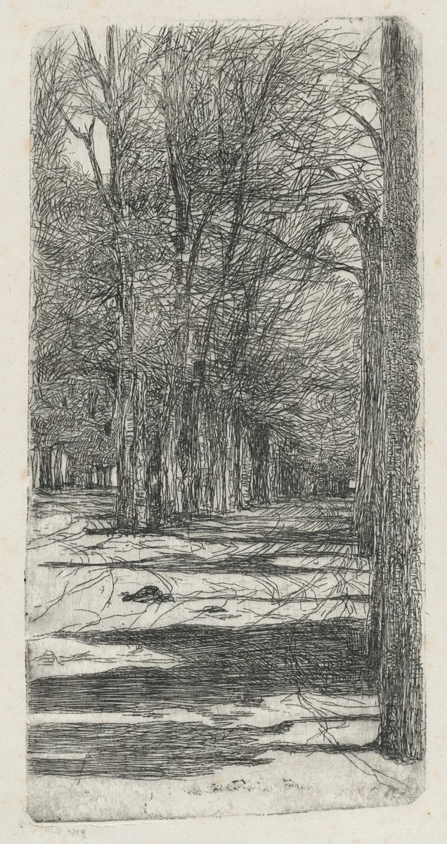 Path in Parco delle Cascine (Un viale interno delle Cascine) by Giovanni Fattori, print, 1850-1900