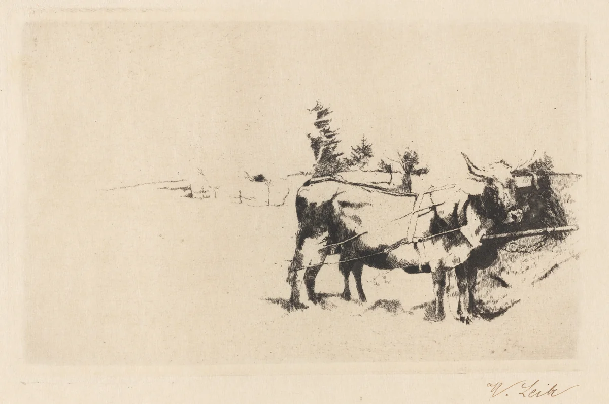 Team of Oxen in Harness by Wilhelm Leibl, print, 1870-1880