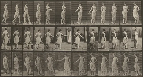 Plate Number 53. Walking, scattering flowers and turning around by Eadweard Muybridge, photograph, 1887