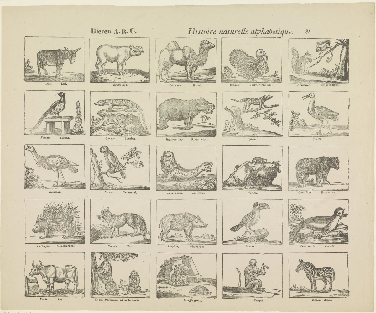 Dieren A.B.C. / histoire naturelle alphabetique by Philippus Jacobus Brepols, print, 1800-1833