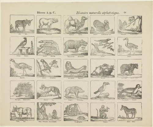 Dieren A.B.C. / histoire naturelle alphabetique by Philippus Jacobus Brepols, print, 1800-1833