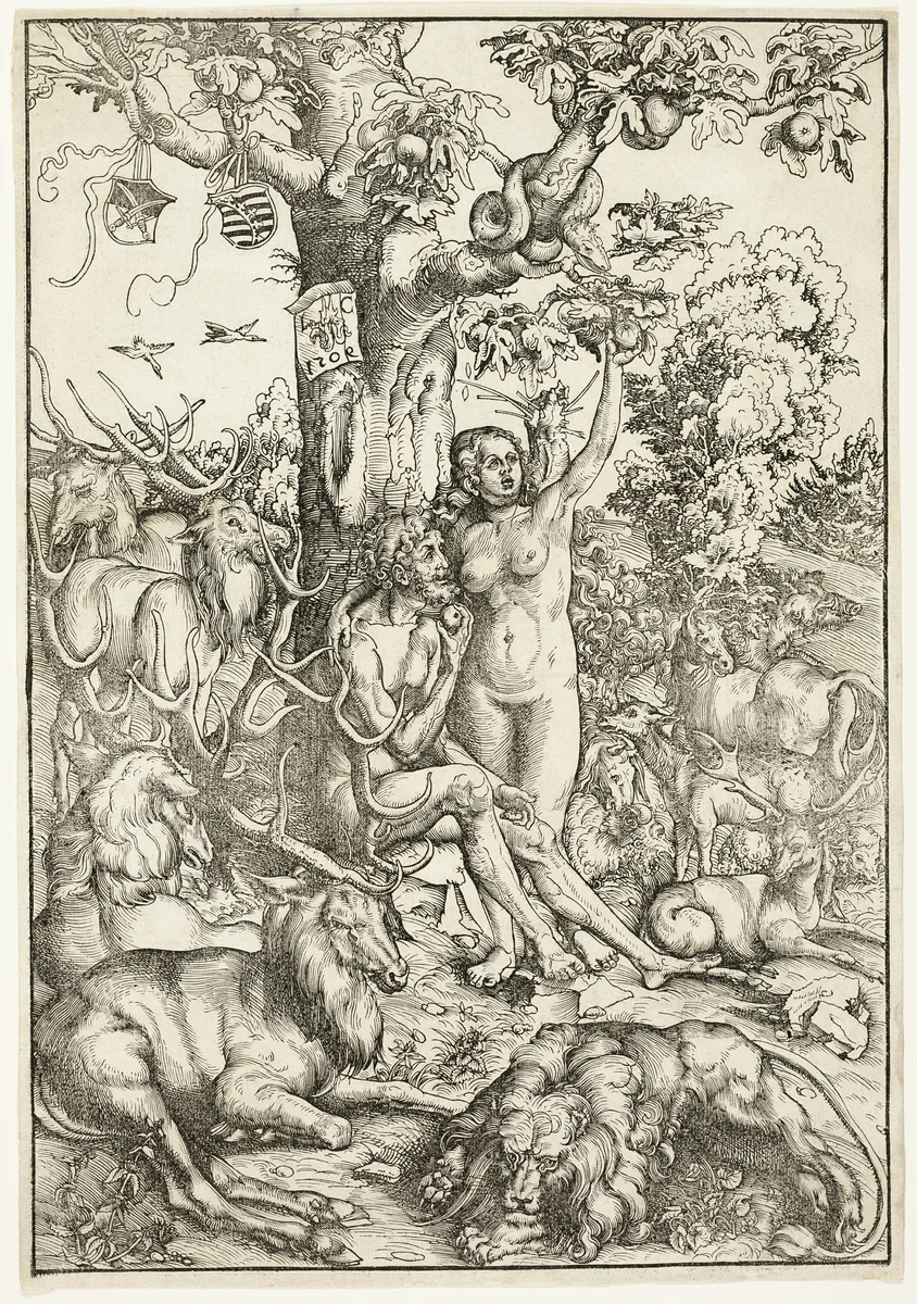 The Fall of Man by Lucas Cranach the Elder, print, 1509