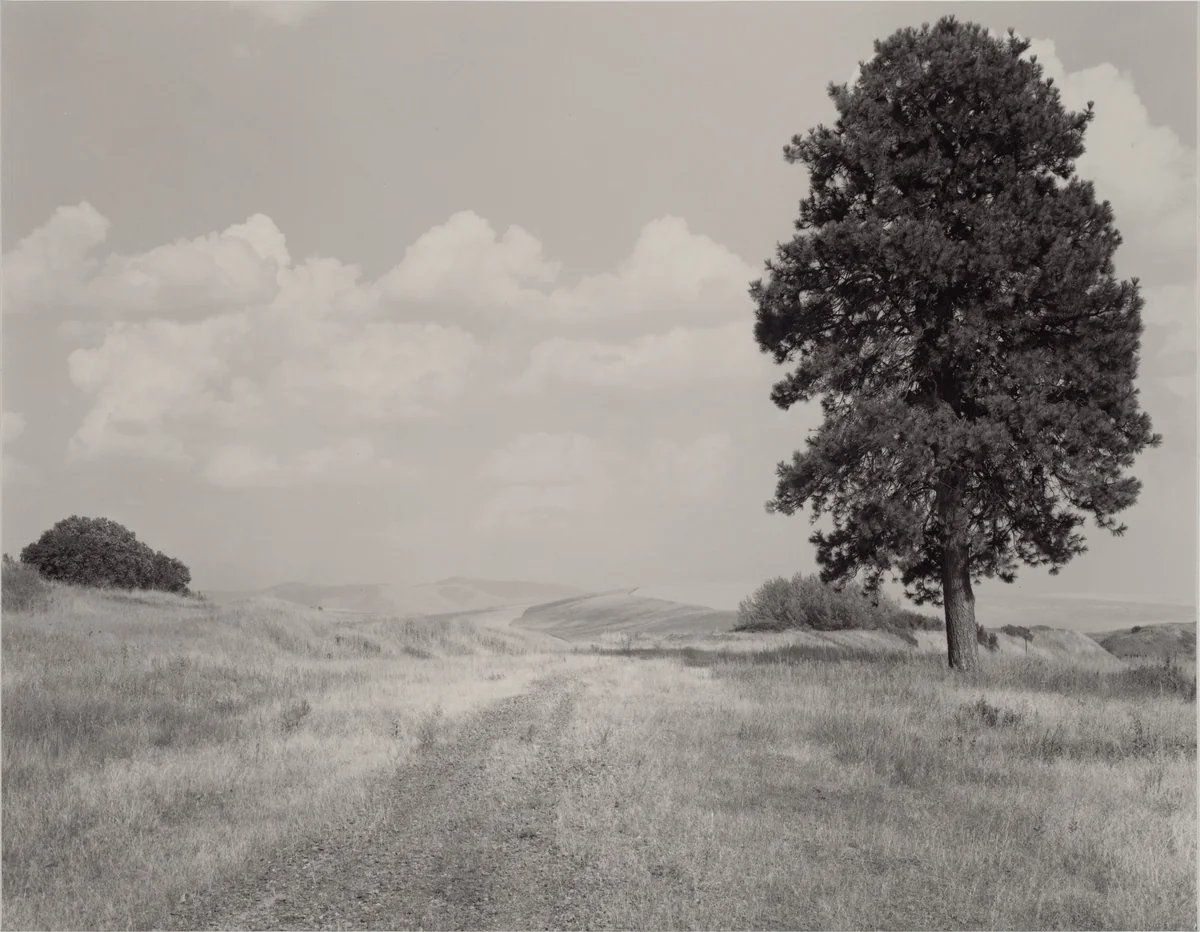 Chicago Milwaukee St. Paul and Pacific by Mark Ruwedel, photograph, 2004