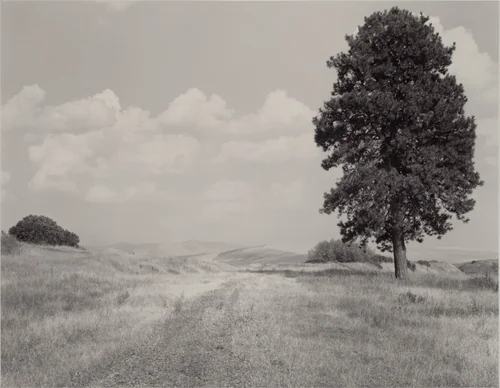 Chicago Milwaukee St. Paul and Pacific by Mark Ruwedel, photograph, 2004