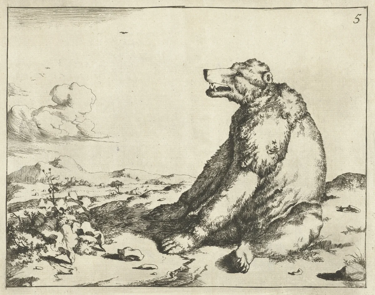 Zittende beer, en profil by Marcus de Bye, print, 1657-1677