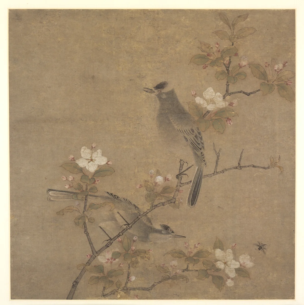 Flowers and Birds by Qian Xuan, painting, 1300-1350