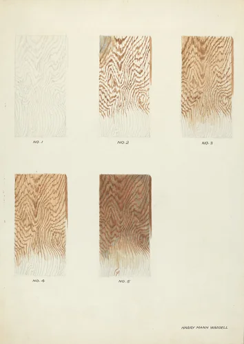 Technique Demo (Wood Grain) by Harry Mann Waddell, index of american design, 1938