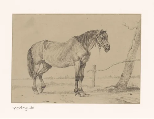 Paard met halster bij een boom by Auguste De Noter, print, 1831