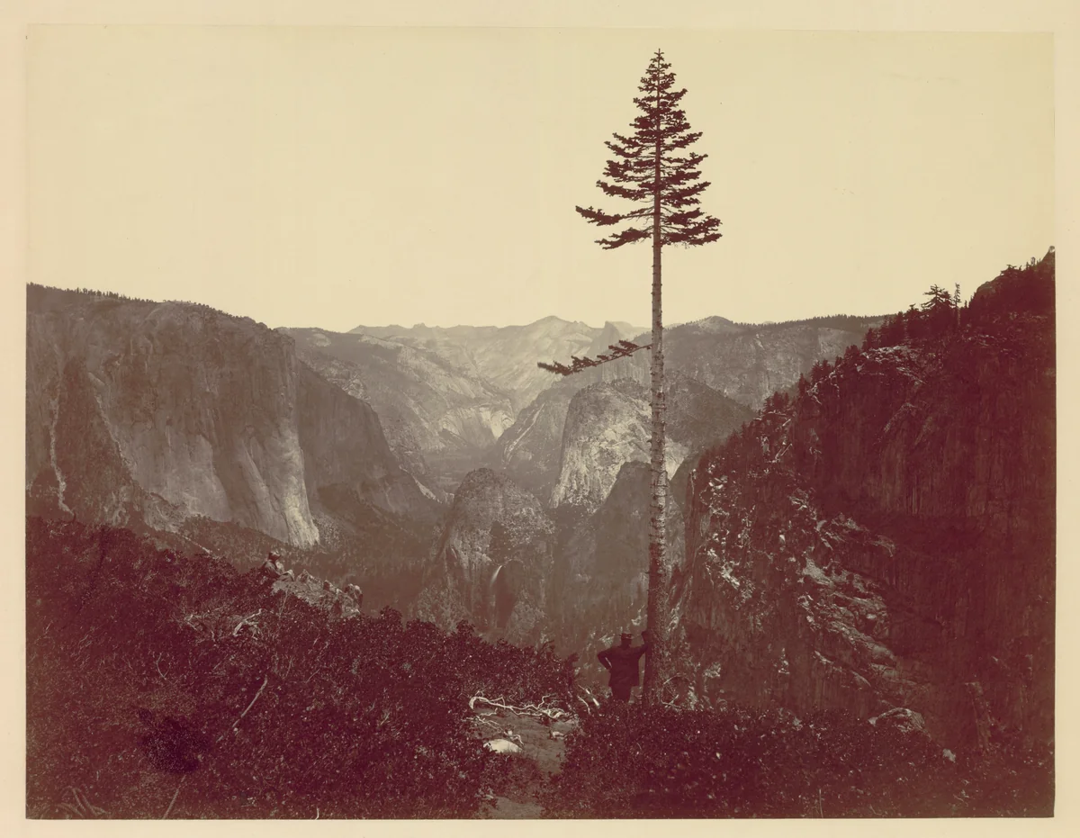 Yosemite Valley from Mariposa Trail by Charles Leander Weed, photograph, 1860-1870