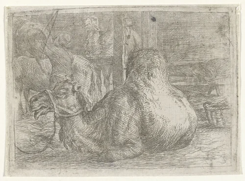 Liggend kameel by Jan van Ossenbeeck, print, 1647-1674