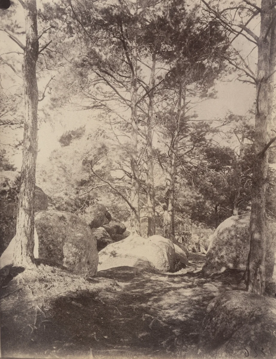 Fontainebleau -- Cavalière des Brigands by Eugène Atget, photograph