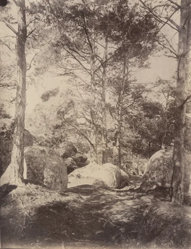 Fontainebleau -- Cavalière des Brigands by Eugène Atget, photograph
