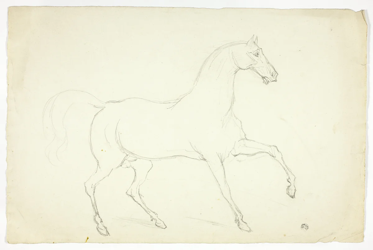 Stallion by Abraham Cooper or Sawrey Gilpin, drawing, 1753-1868