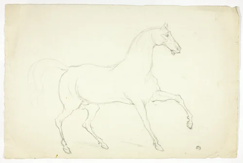 Stallion by Abraham Cooper or Sawrey Gilpin, drawing, 1753-1868