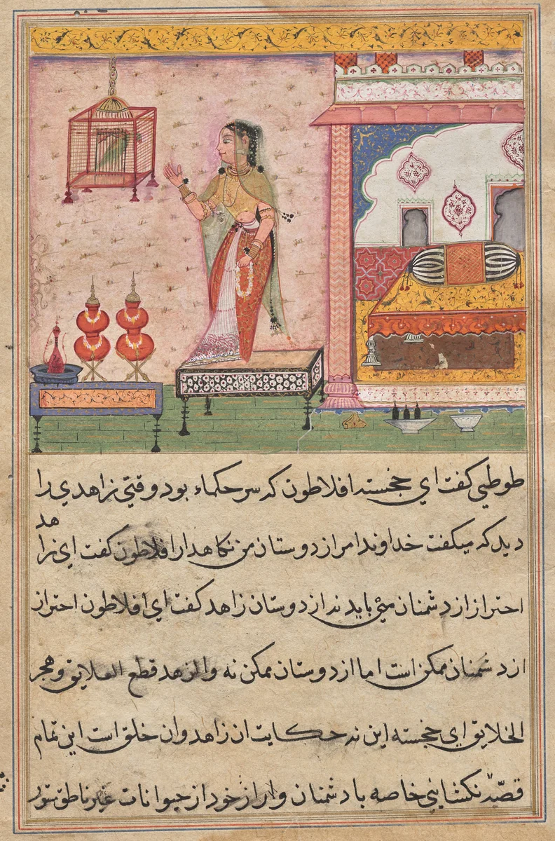The Parrot Addresses Khujasta at the Beginning of the Twenty-third Night, from a Tuti-nama (Tales of a Parrot) by Unknown, painting, 1555-1565