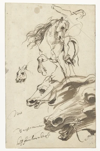 Studies of a Horseman and the Head of a Horse by Anthony van Dyck, drawing, 1617-1621