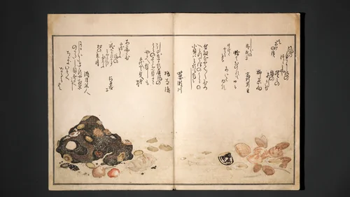 Gifts of the Ebb Tide (The Shell Book) (Shiohi no tsuto) 潮干のつと(都登) by Kitagawa Utamaro (喜多川歌麿), book, 1789