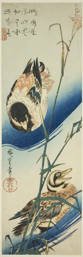 Two Ducks Swimming Among Reeds by Utagawa Hiroshige (歌川広重), print, 1829-1843