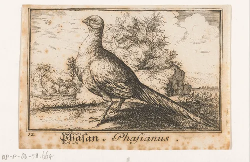 Landschap met fazant by anonymous, print, 1659-1741