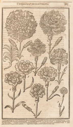 The Compleat Gardeners Practice, Directing the Exact Way of Gardening in three Parts by Stephen Blake, book, 1664
