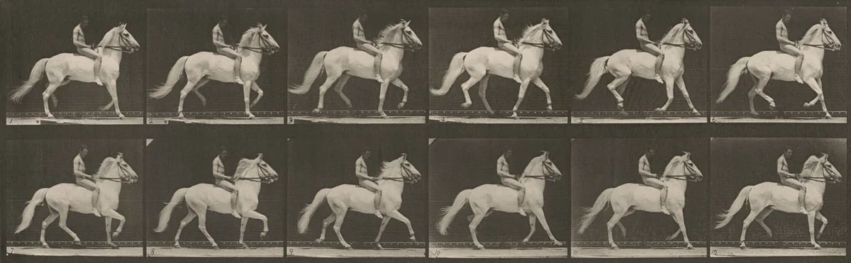 Plate Number 590. "Clinton" ambling, bareback; rider nude by Eadweard Muybridge, photograph, 1887