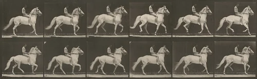 Plate Number 590. "Clinton" ambling, bareback; rider nude by Eadweard Muybridge, photograph, 1887