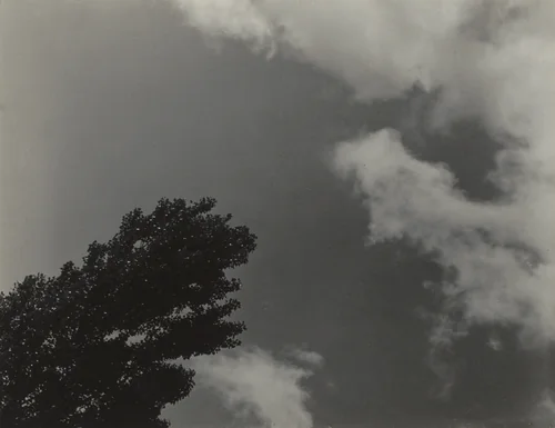 Songs of the Sky and Trees by Alfred Stieglitz, photograph, 1923