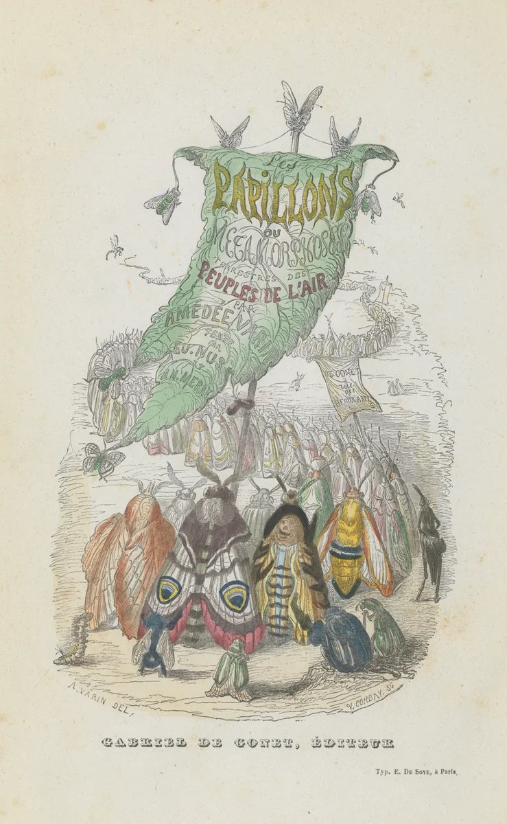 Les Papillons: Métamorphoses terrestres des peuples de l'air by Amédée Varin, book, 1852