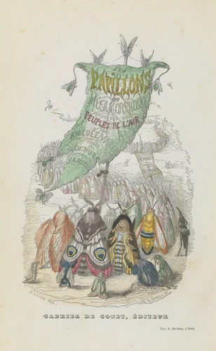 Les Papillons: Métamorphoses terrestres des peuples de l'air by Amédée Varin, book, 1852