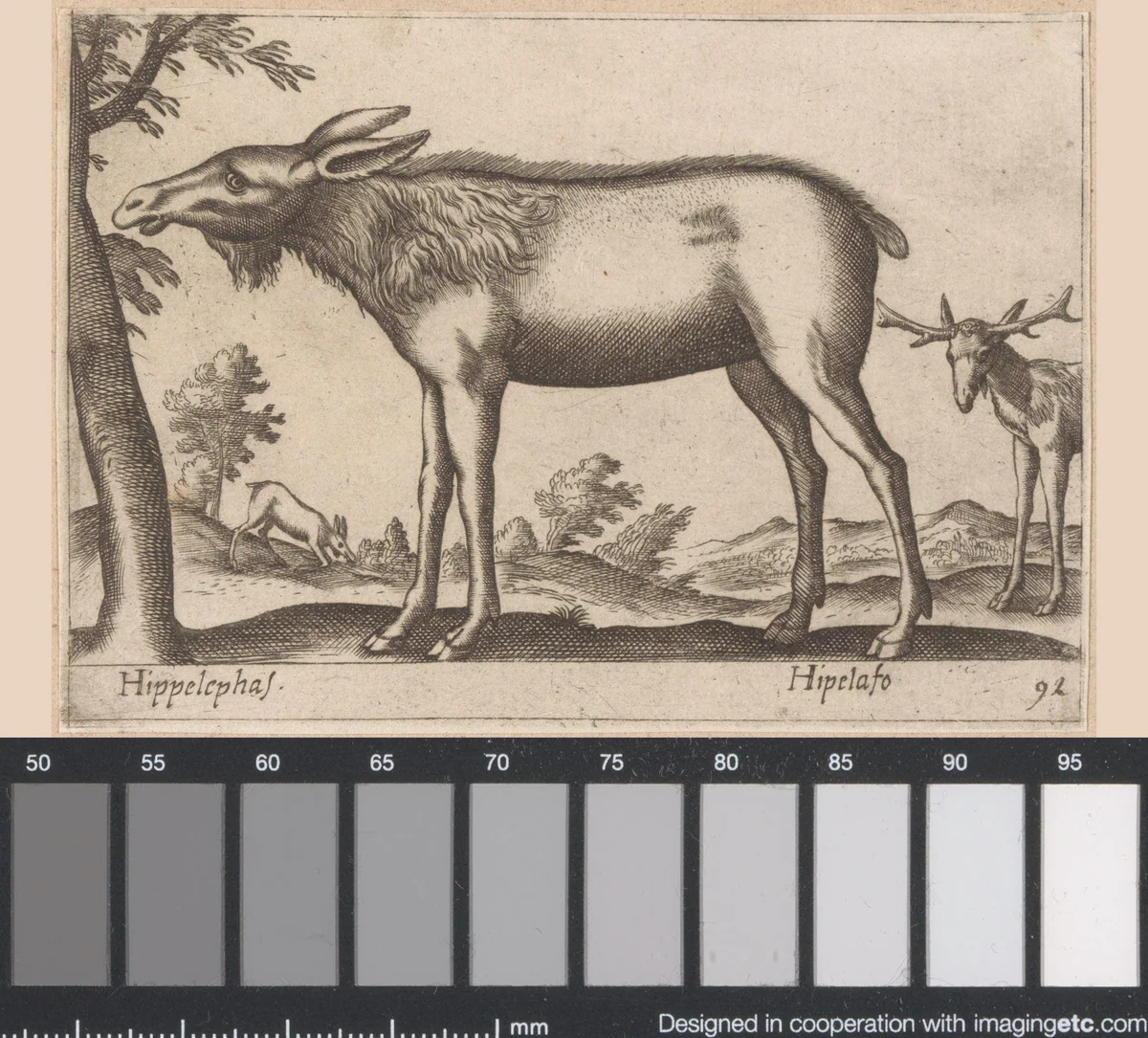 Eland by Antonio Tempesta, print, 1565-1630