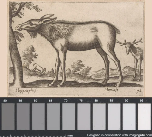 Eland by Antonio Tempesta, print, 1565-1630
