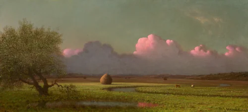 Sunlight and Shadow: The Newbury Marshes by Martin Johnson Heade, painting, 1871-1875