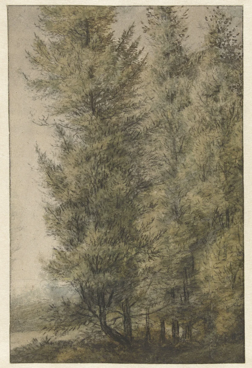 Hoge dennen aan de rand van een bos by Anthonie Waterloo, drawing, 1619-1690