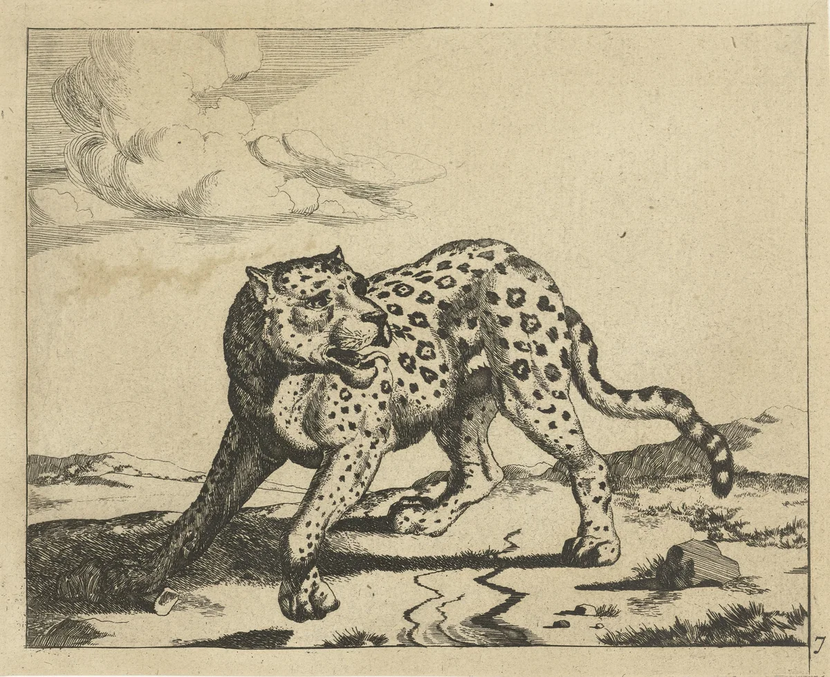 Luipaard, staand naar links, de kop naar rechts by Marcus de Bye, print, 1657-1677