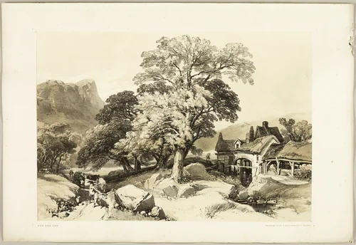Ash and Oak, from The Park and the Forest by James Duffield Harding, print, 1841