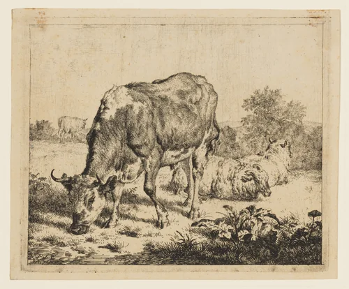 The Spotted Bull and Three Sheep by Adriaen van de Velde, print, 1665-1675