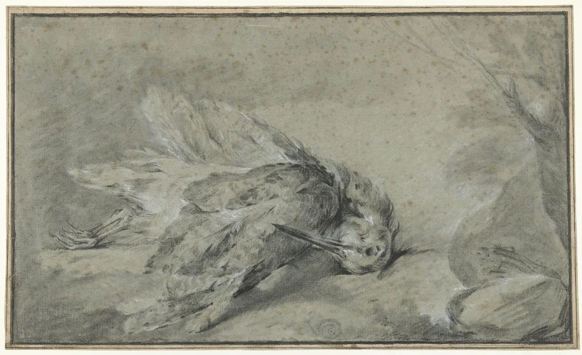 Dode houtsnip (Scolopax rusticola) by Jean-Baptiste Oudry, drawing, 1700-1755