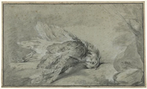Dode houtsnip (Scolopax rusticola) by Jean-Baptiste Oudry, drawing, 1700-1755