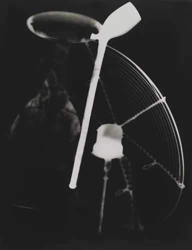 Untitled (plate 9) from the album Champs Délicieux by Man Ray, photograph, 1922