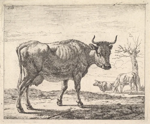 Three Cows by Adriaen van de Velde, print, 1646-1672