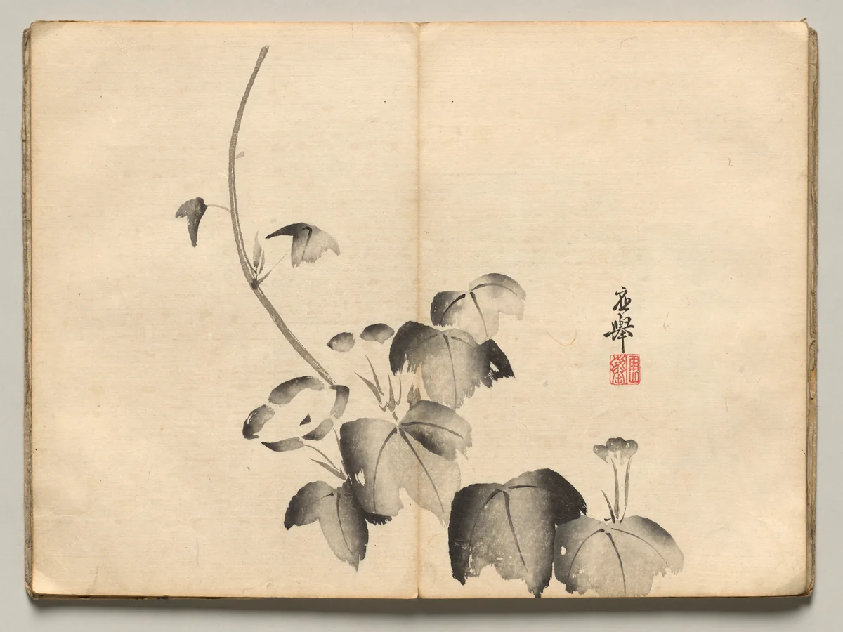 Morning Glory from Ōkyo Picture Book by Maruyama Ōkyo (円山応挙), book, 1850