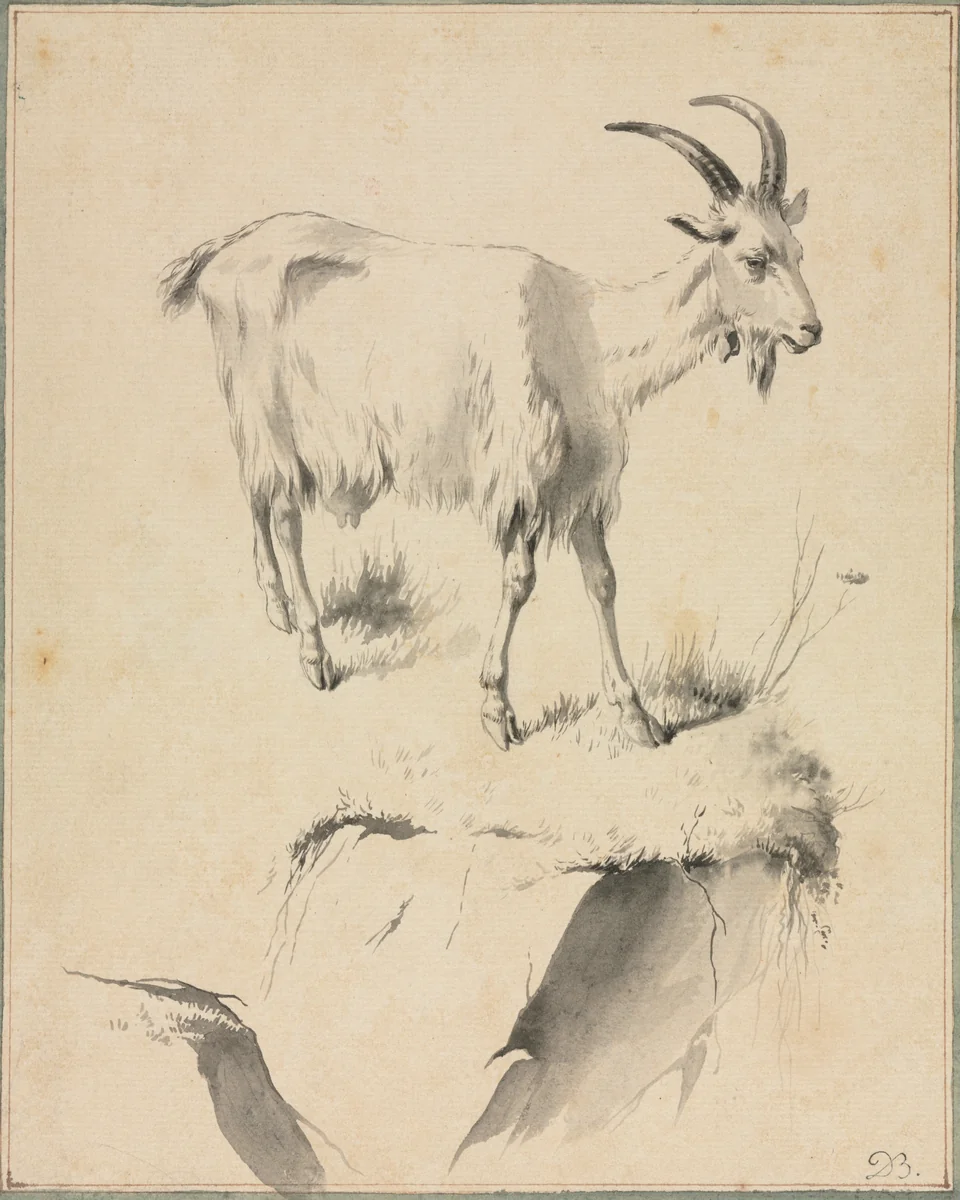 Study of a Goat by Jean Jacques de Boissieu, drawing, 1750-1810