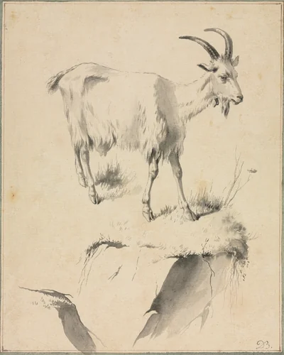 Study of a Goat by Jean Jacques de Boissieu, drawing, 1750-1810