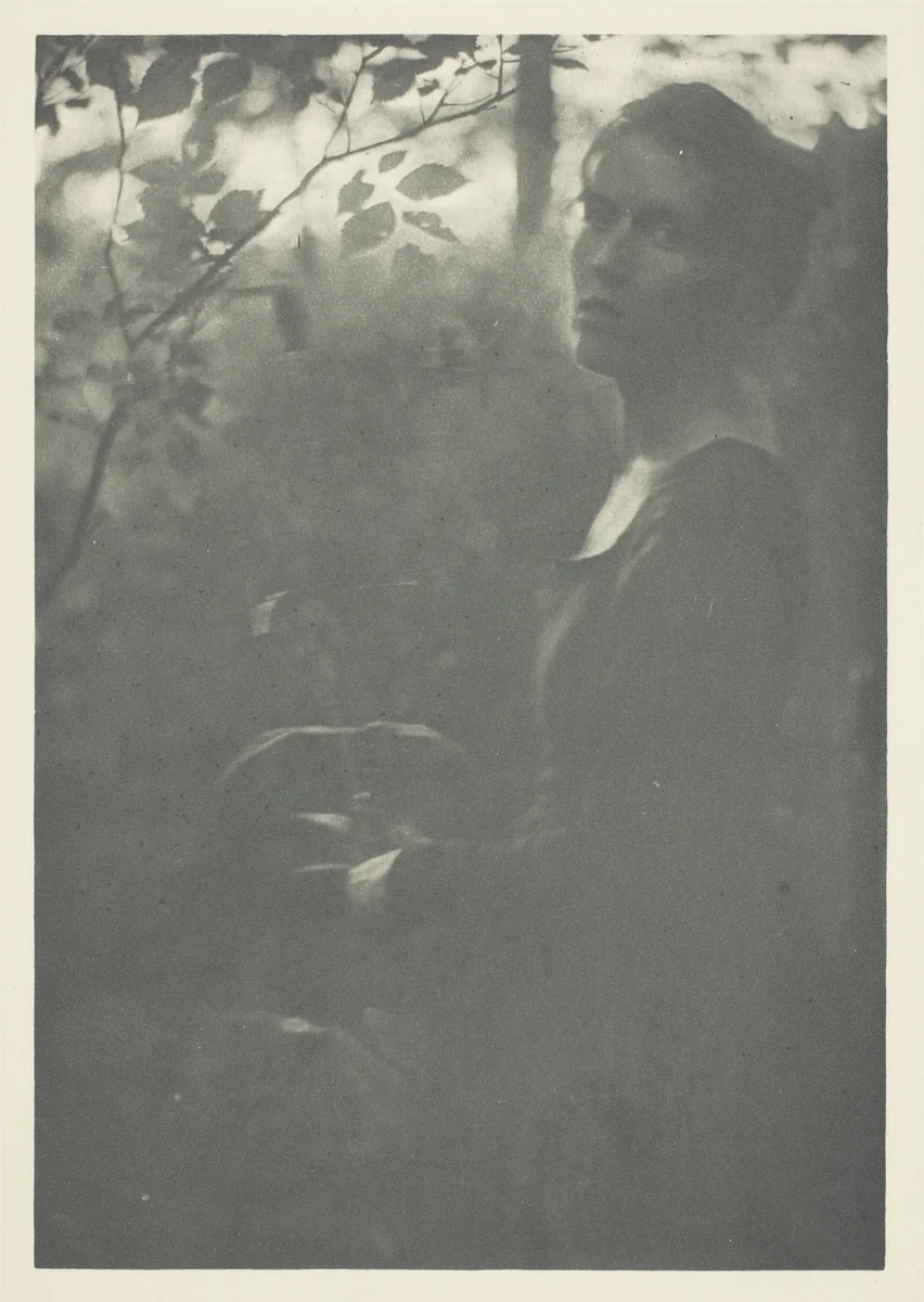 Edge of Woods, No. 10 from the portfolio "American Pictorial Photography, Series II” (1901); edition 34/150 by Clarence H. White, print, 1894-1904
